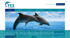 Desktop Screenshot of ferguson-es.com
